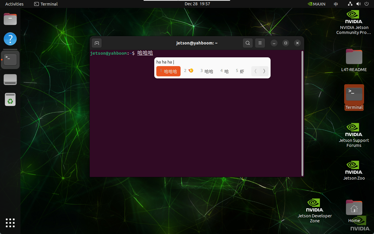 image-20241228195708790