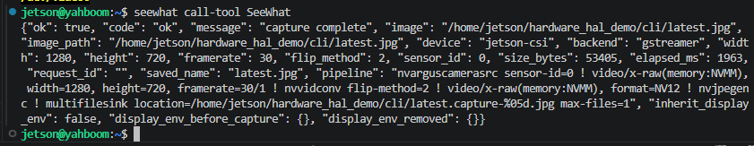 image-20260529185011535