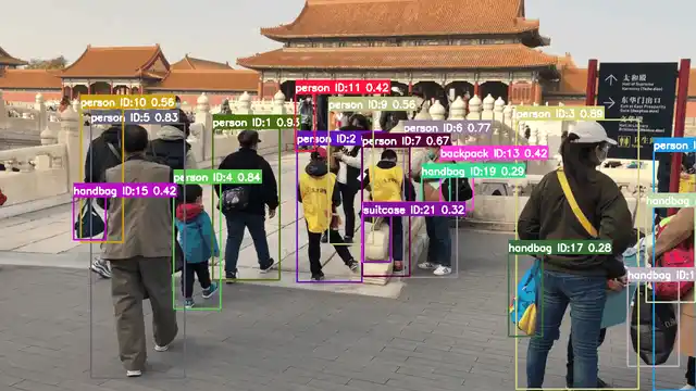 ByteTrack 多目标跟踪结果示例