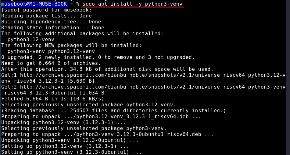 python3-venv