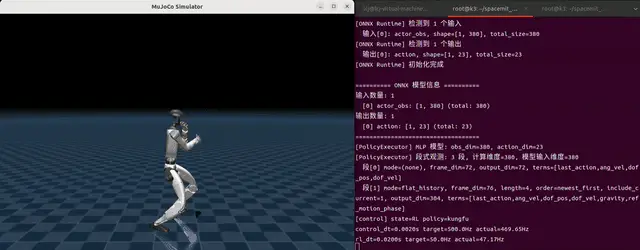 功夫动作演示