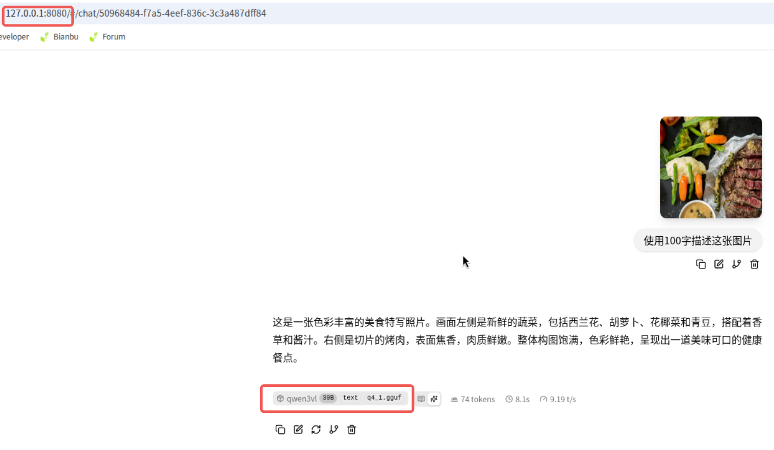 Qwen3-VL-30B-A3B browser interface