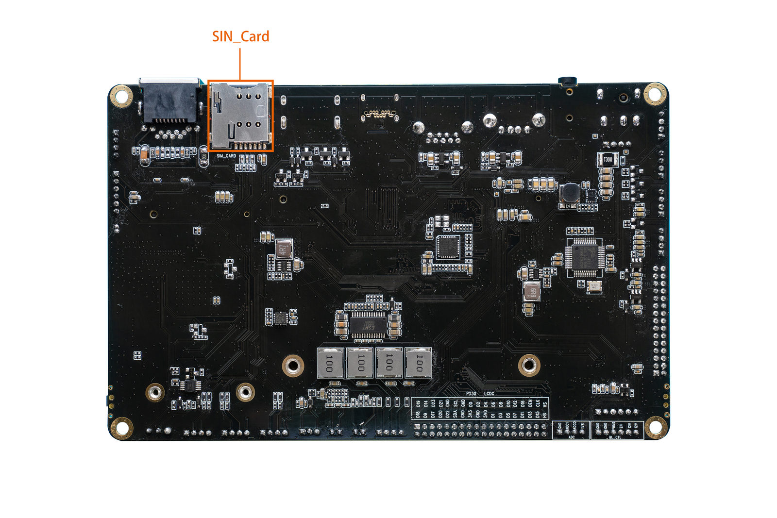 _images/back.jpg