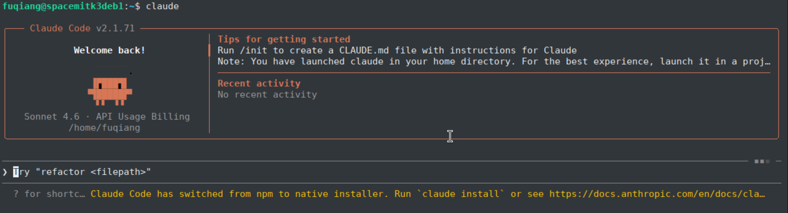 Claude Code startup interface