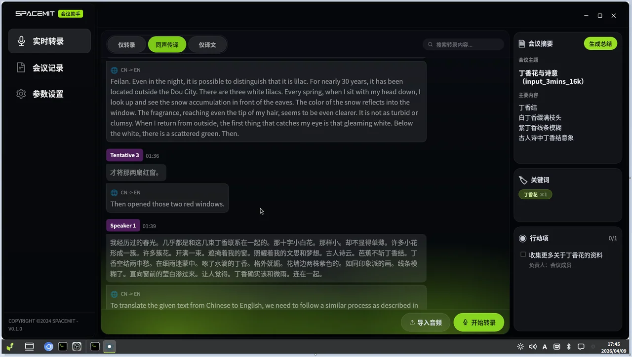 离线转录结果