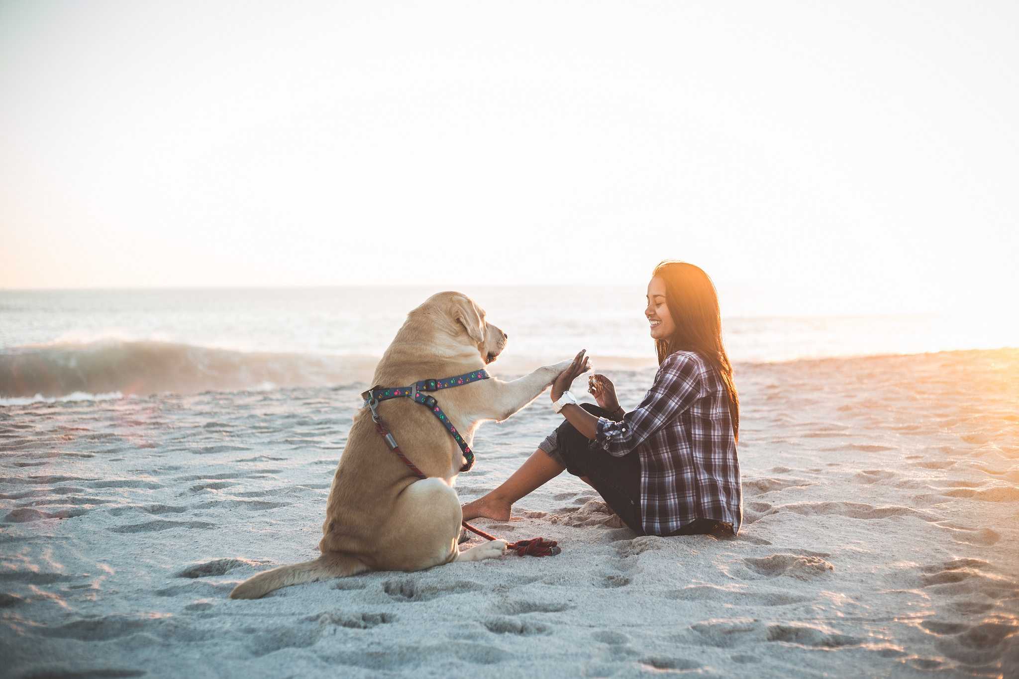 ../../_images/beach.jpeg