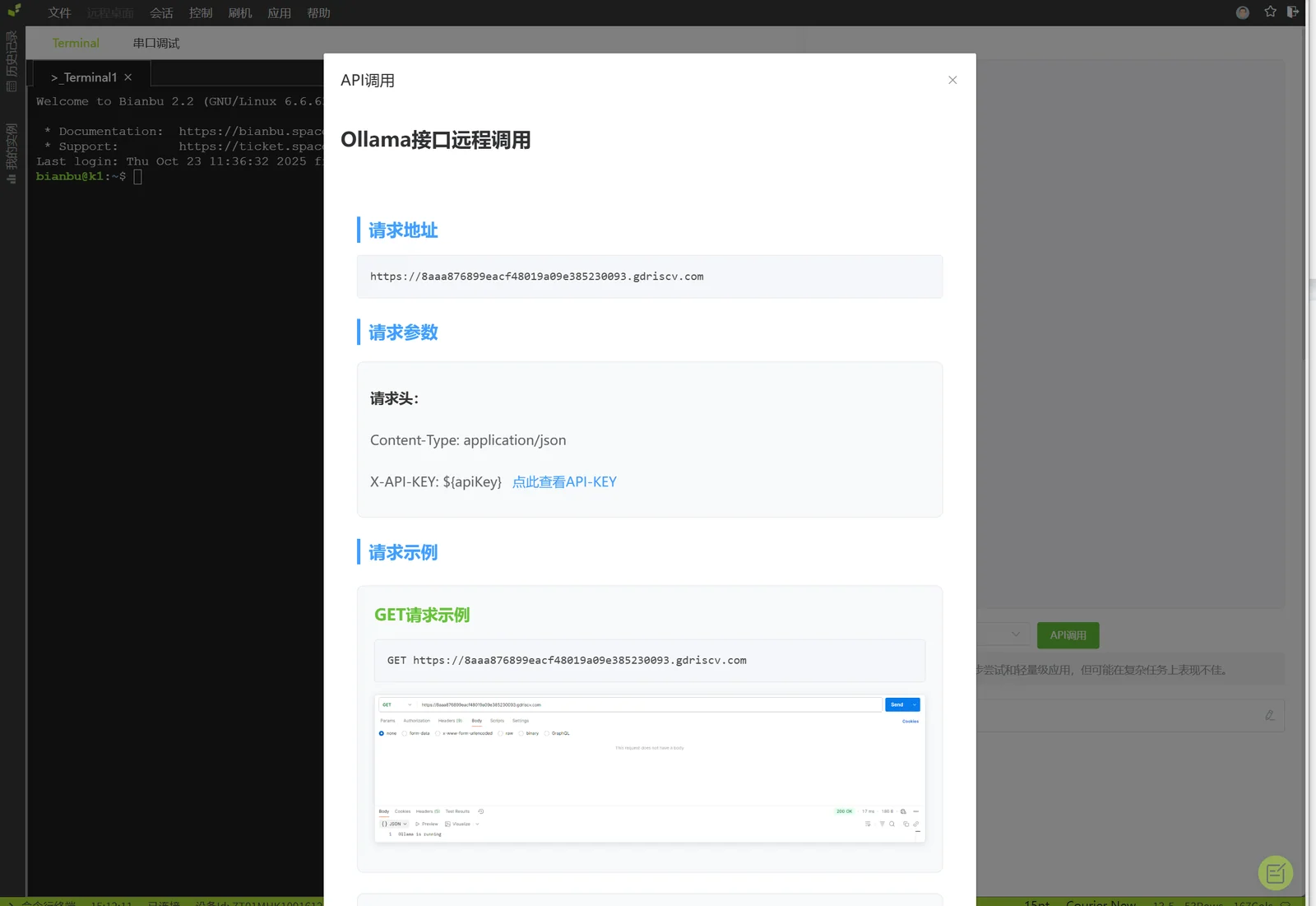 API 配置页面