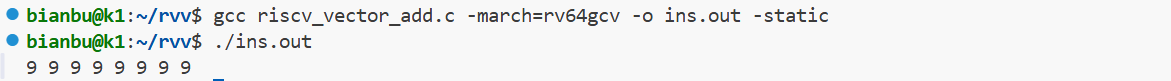 RVV 运行结果